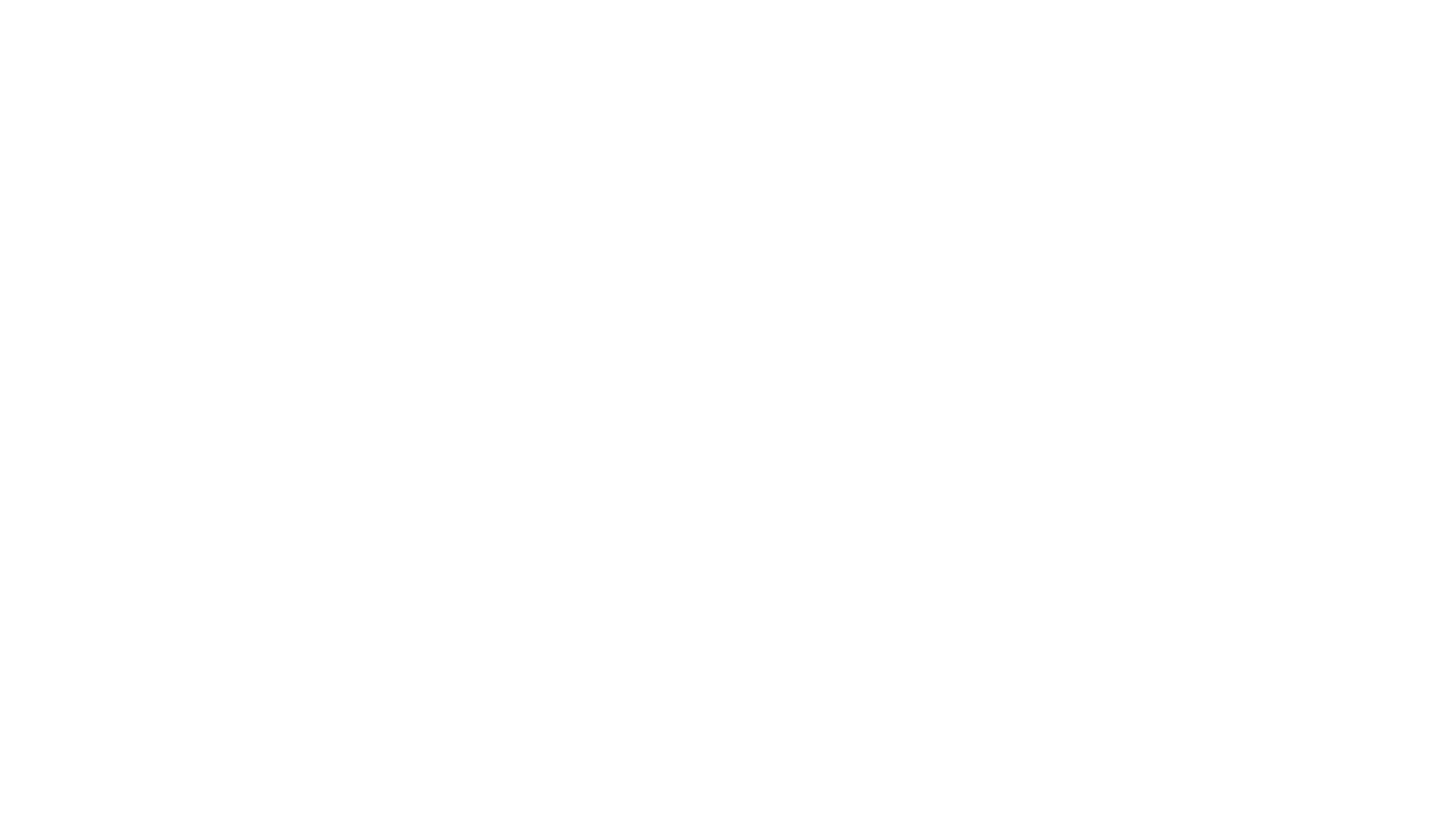 The Client Lead